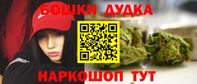 гашик Славгород