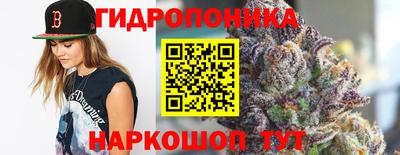СК Сланцы