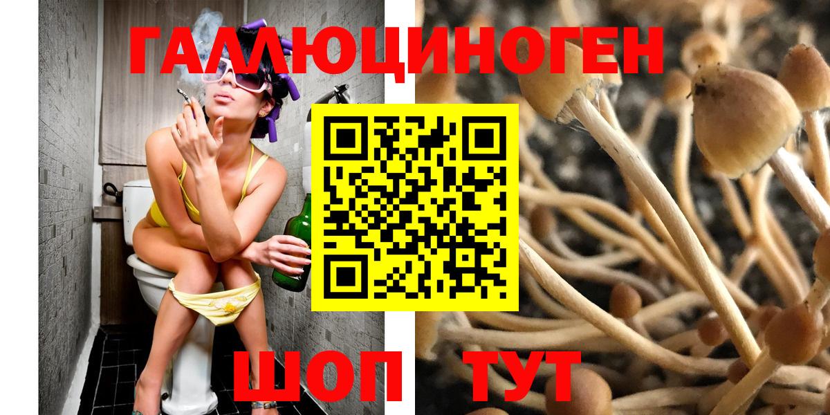 Новокубанск  Галлюциногенные грибы Psilocybine cubensis  Вход с VPN 