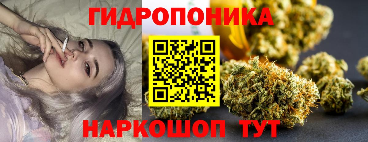 Новокубанск  Шишки марихуана OG Kush  Вход с VPN  Шишки марихуана Amnesia 